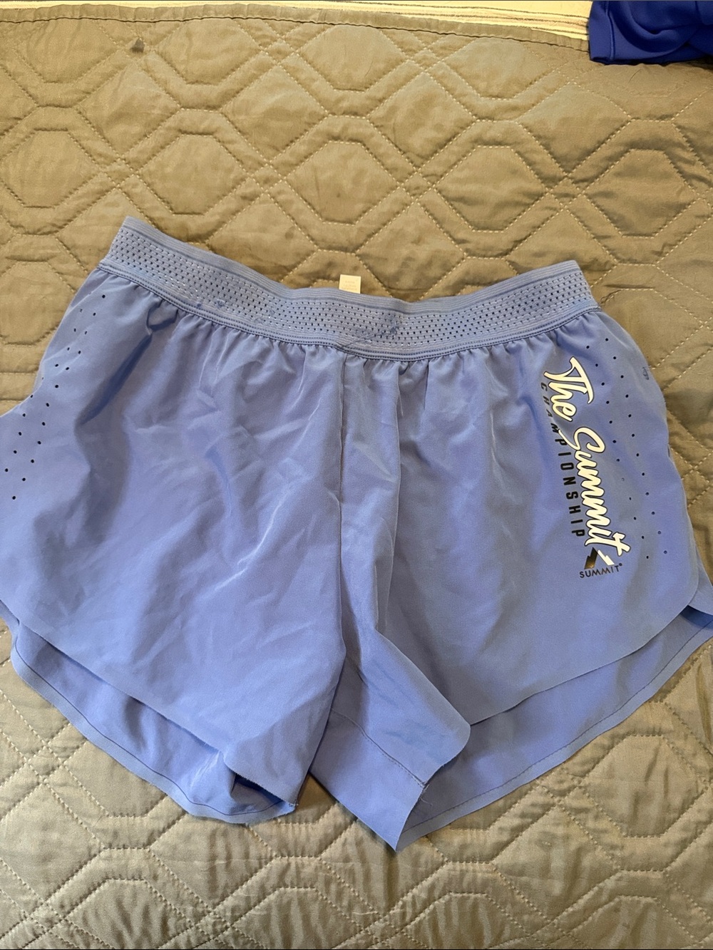 Varsity SUMMIT Lavender Women’s Athletic Shorts